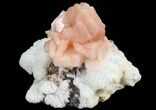 Peach Stilbite Clusters - Maharashtra, India #67679-3